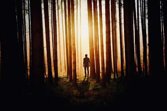 Через тернии к свету