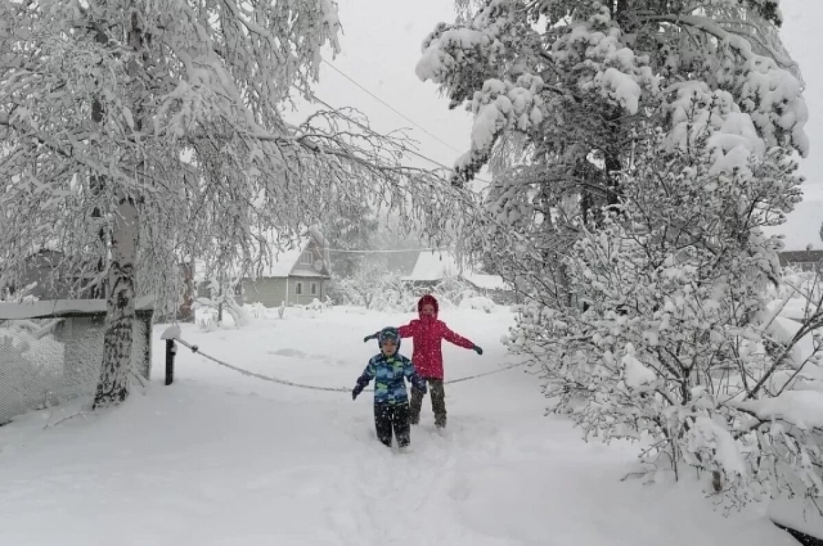    Такие майские.