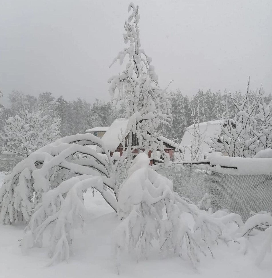    Фото: личный архив/ Алена Матвеева