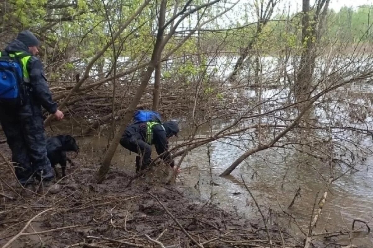    В Уфе волонтеры сообщили о сложностях в поисках пропавших подростков