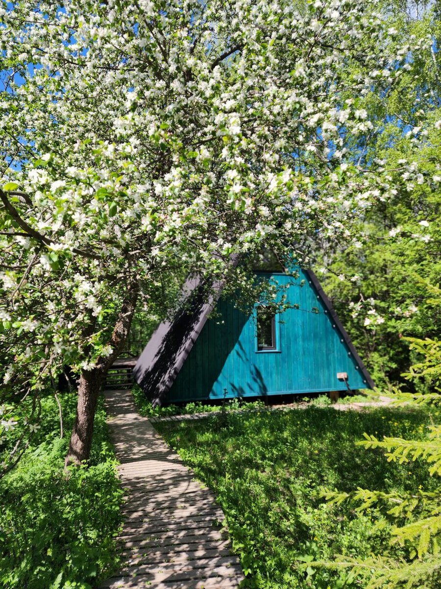 Синий дом в начале мая. Дикие яблони напали сзади)) Олень глэмпинг Тула