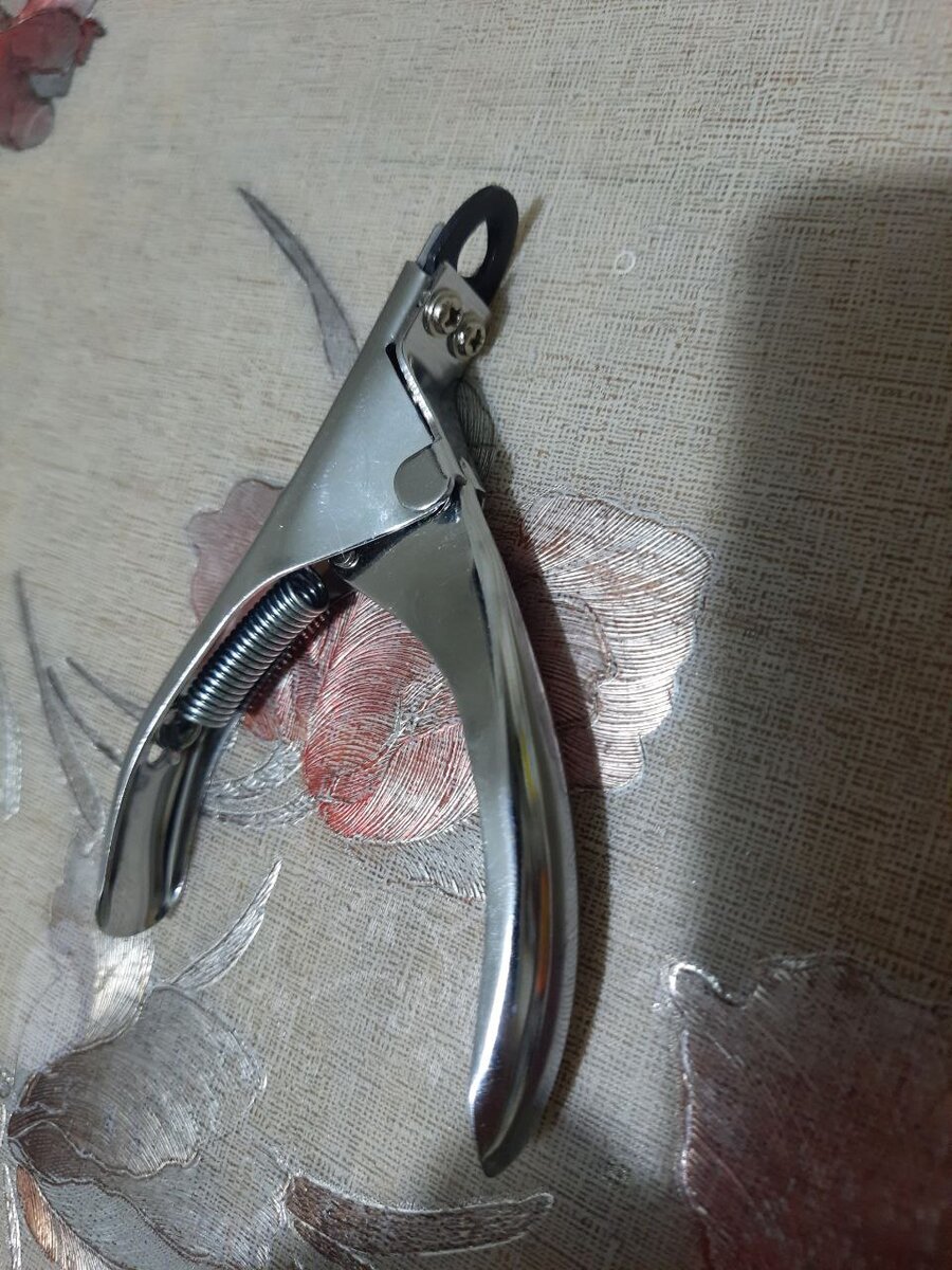 Для взрослых  кошек, проверяйте заточку инструмента, срез должен быть идеален