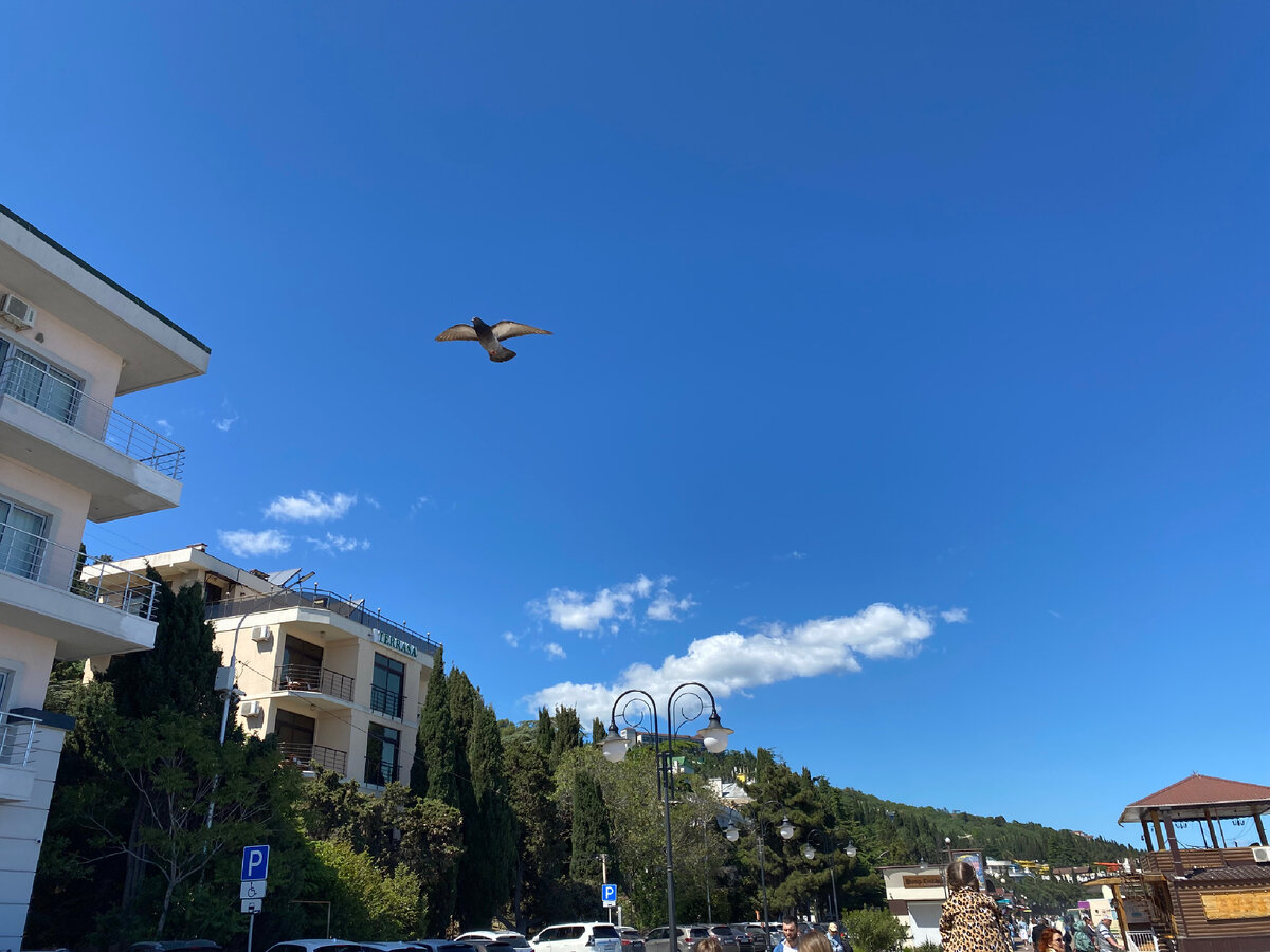 Алушта