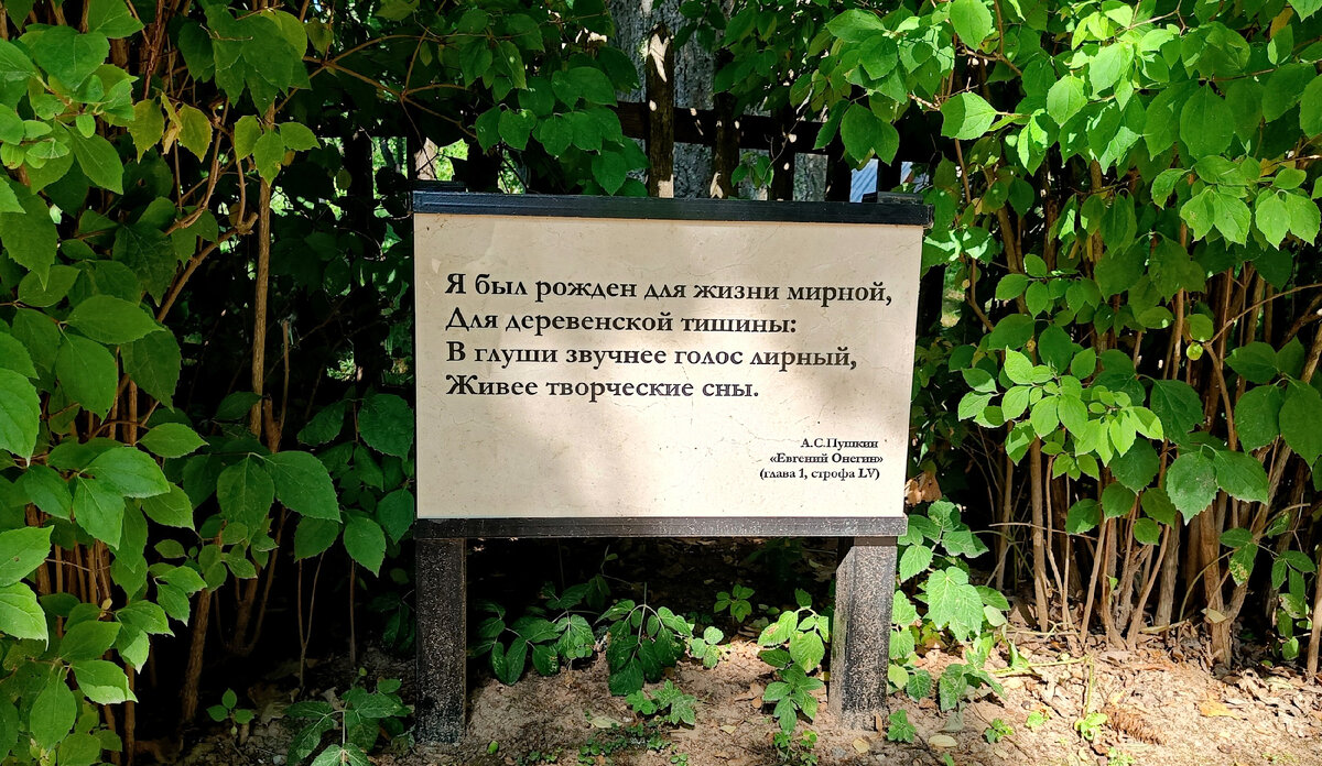 Псков и область. Август 2022 года. День 3: Пушкинские горы | Дневник  (не)путешественника | Дзен