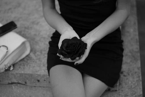 Изображение взято из открытых источников интернета. 