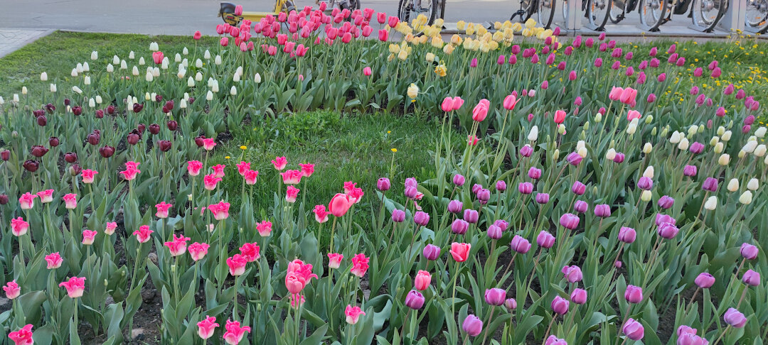 Фото автора) не реклама