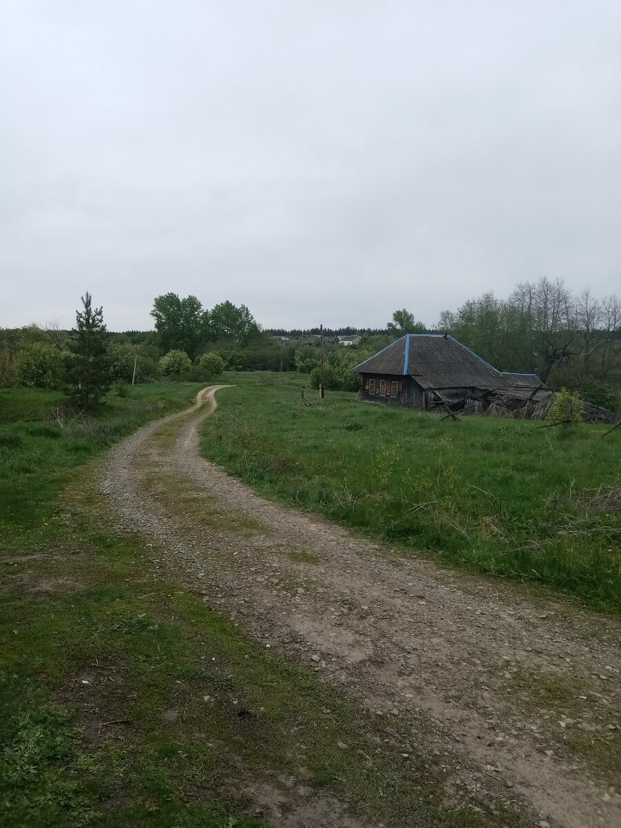 Когда приехали в деревню  уже стало пасмурно. 