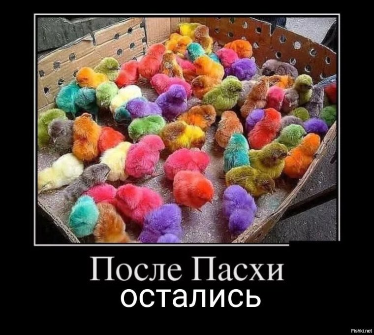 Картинка взята из открытого доступа в сети Интернет