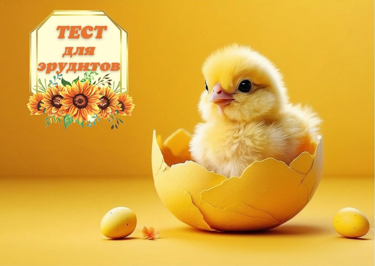 Источник изображения: pixabay.com, дизайн автора публикации