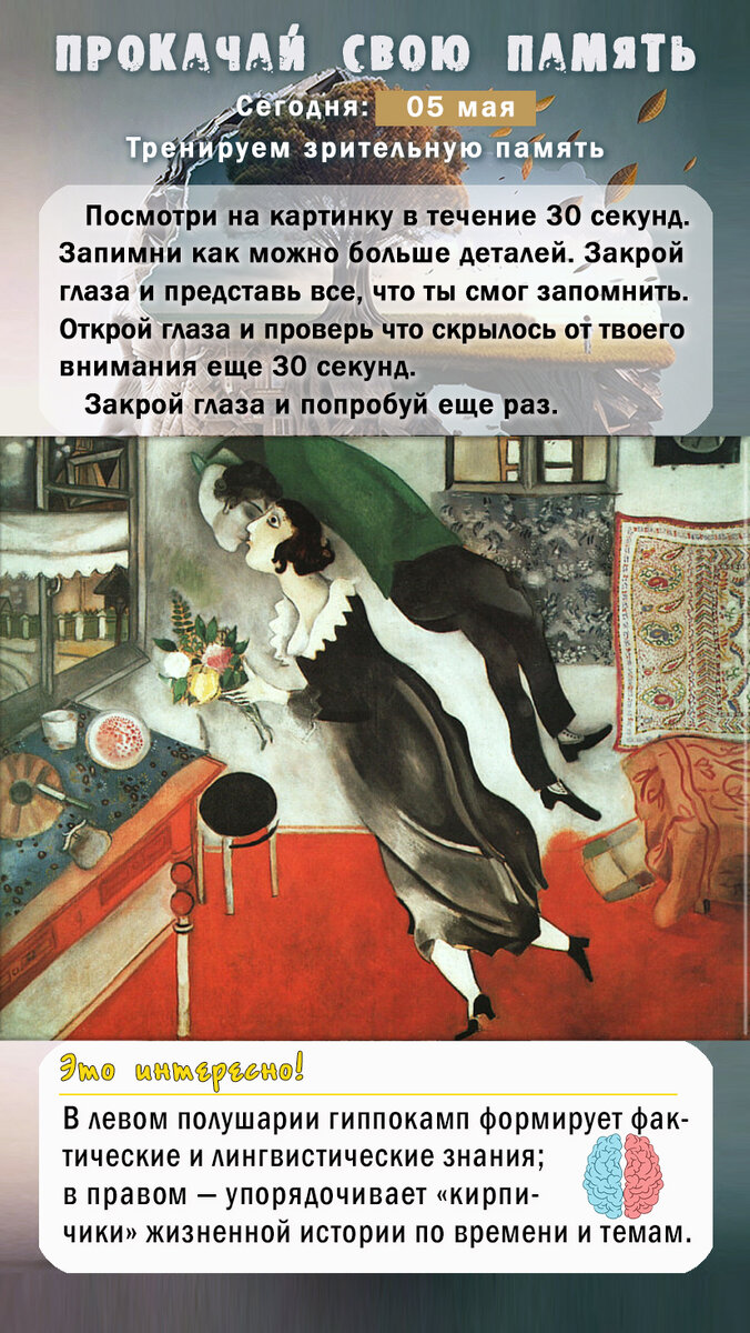 Так выглядят ежедневные тренировки