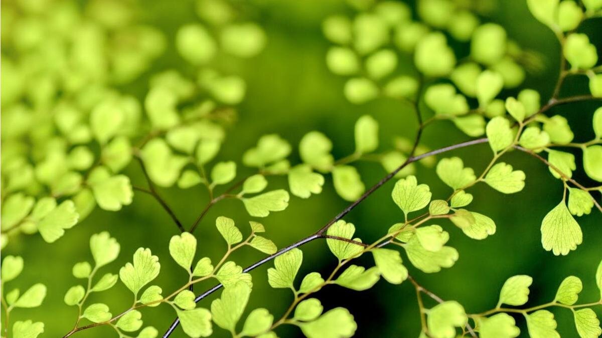    Фото: pexels.com