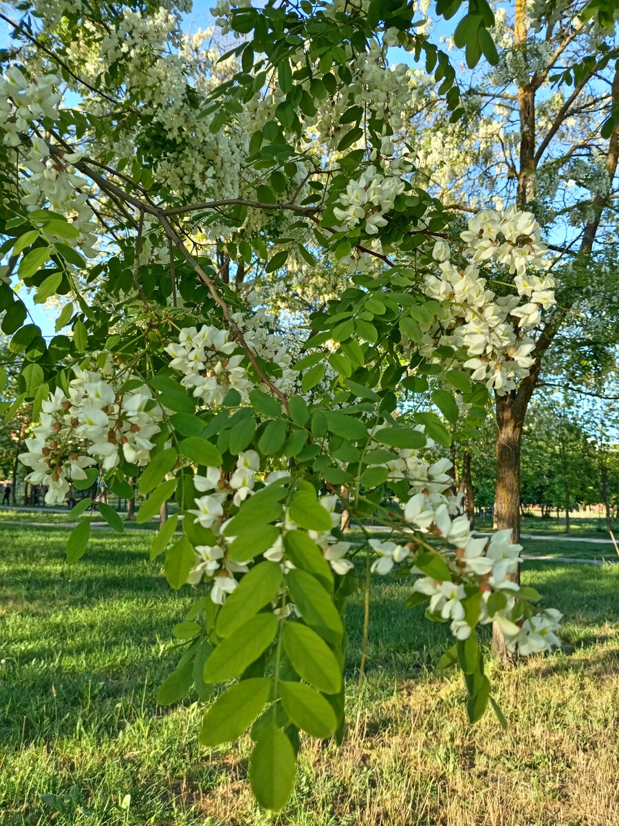 Фото автора. 