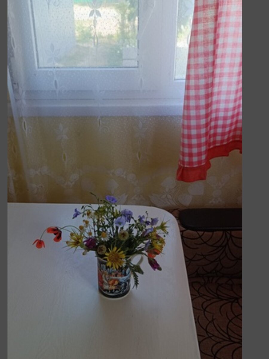 Букетик от внука. Это и все остальные фото автора канала. 