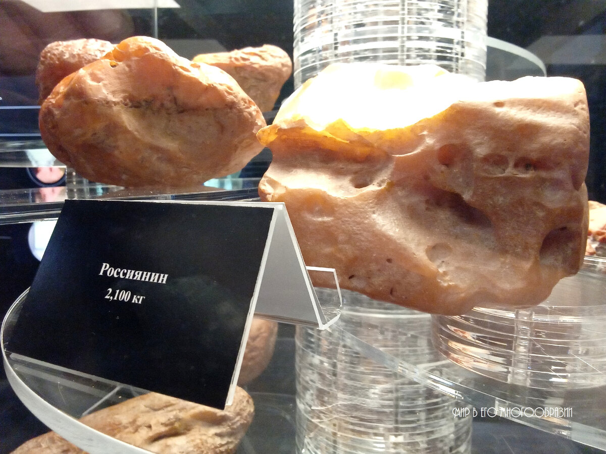 И пусть вес кусков янтаря в 2 кило никого не смущает. Из коллекции музея Янтарного комбината 