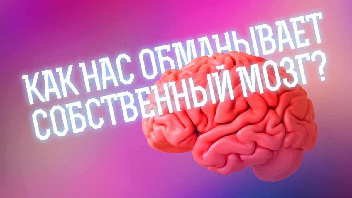  Суеверия и сновидения, интуиция и чрезмерная уверенность в себе — действительно ли нас обманывает собственный разум?