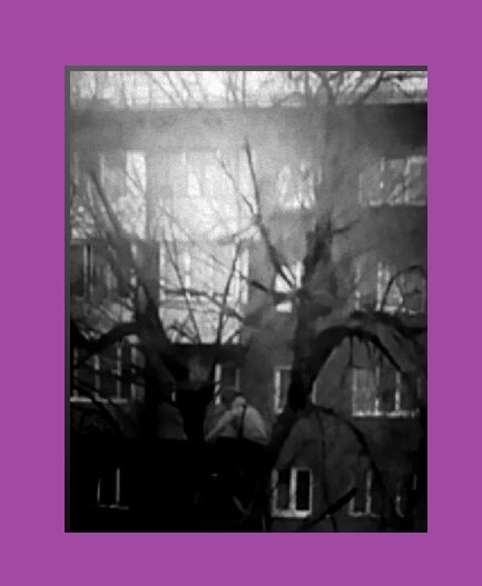 личный архив