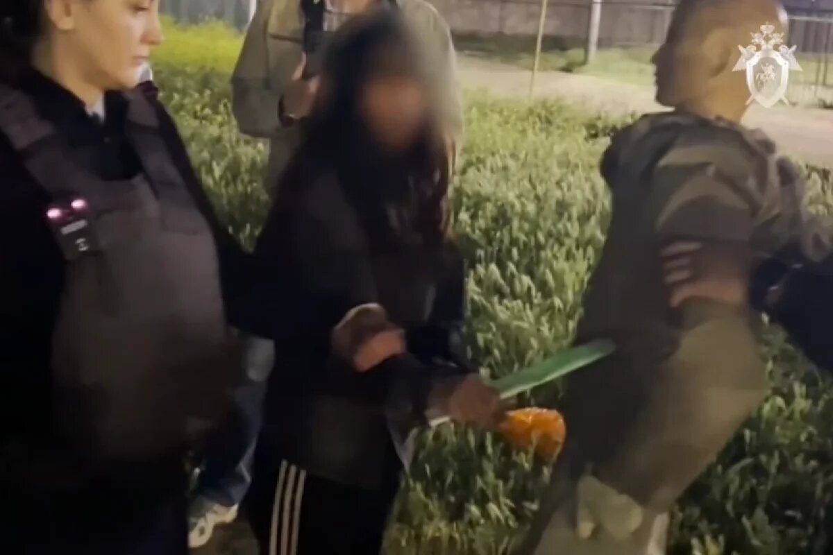    Подозреваемая в убийстве 17-летней девочки рассказала, как наносила удары