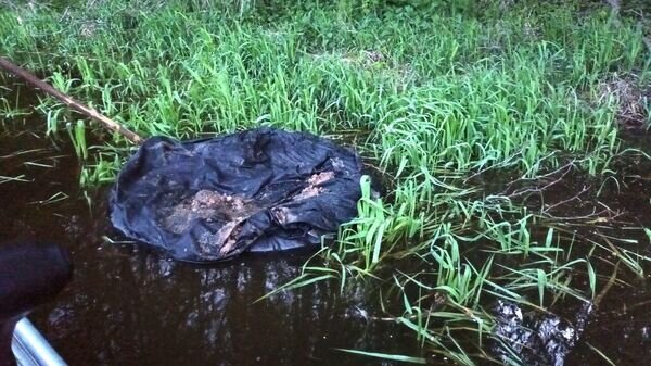    © Photo : Valstybės sienos apsaugos tarnyba