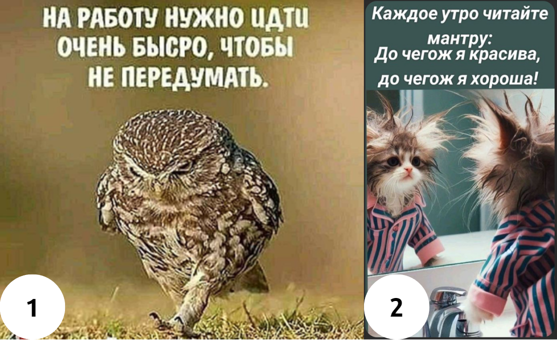 Подсказка: 1 Знак Близнецы может забежать по пути еще в 10 мест и забыть, что сегодня нужно на работу. 2 Лев - обратите внимание на прическу!)))