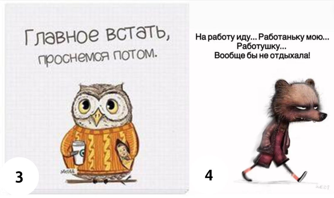 Подсказка: 3 Рак - милая лапа, пожалуй, самая спокойная и домашняя из всех. 4 Козерог - суровый трудоголик.