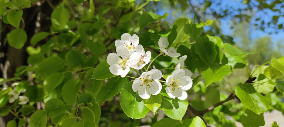 Фото автора) не реклама