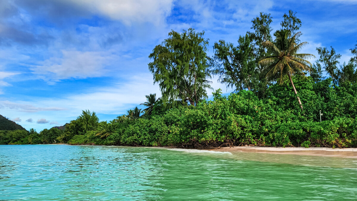 Когда мы приехали на пляж, то был прилив. Океан дошел прямо до кустарников.