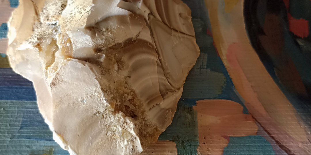 Уникальные зубила древнего предка человека найденные автором в Подмосковье неделю тому назад