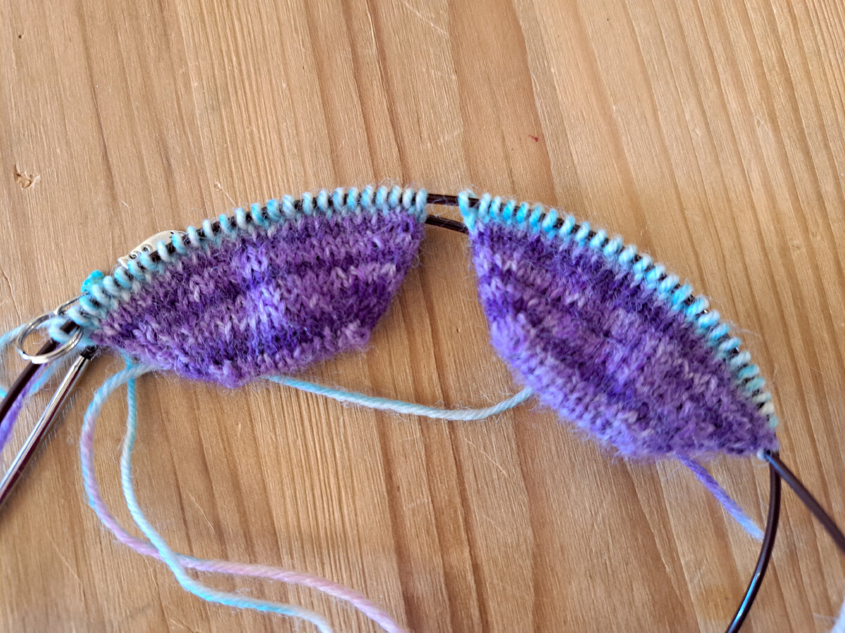 Почти хватило секции