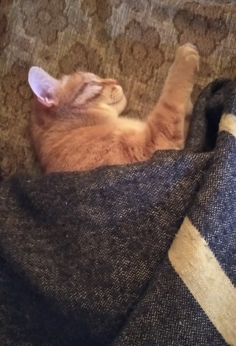 Личное  фото