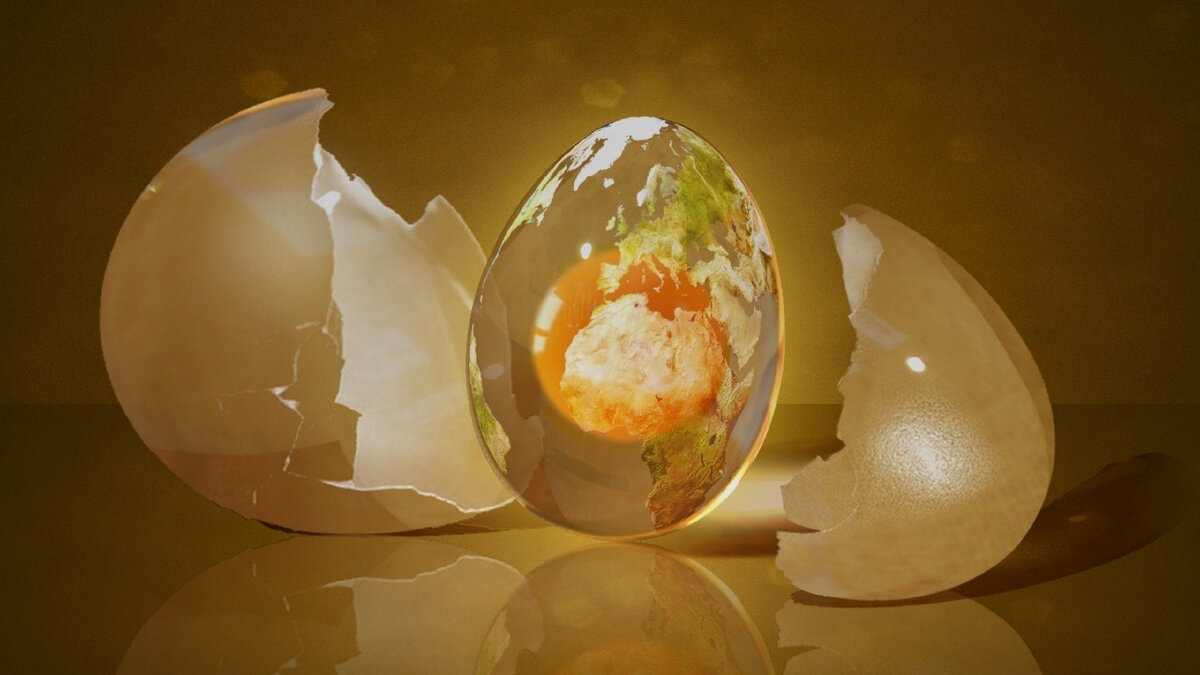 фото из открытых источников