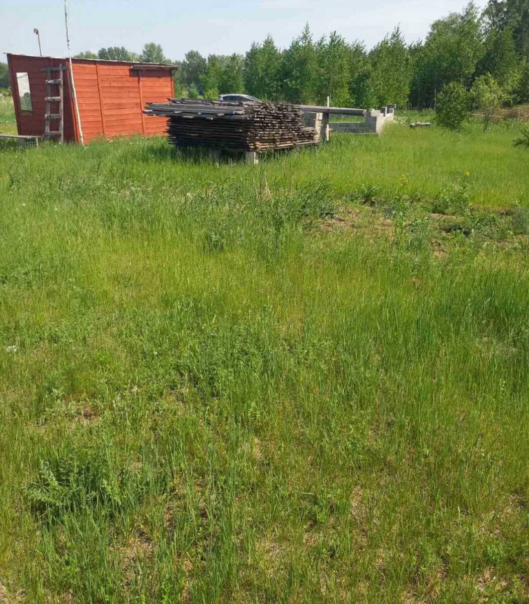 Личное фото автора публикации