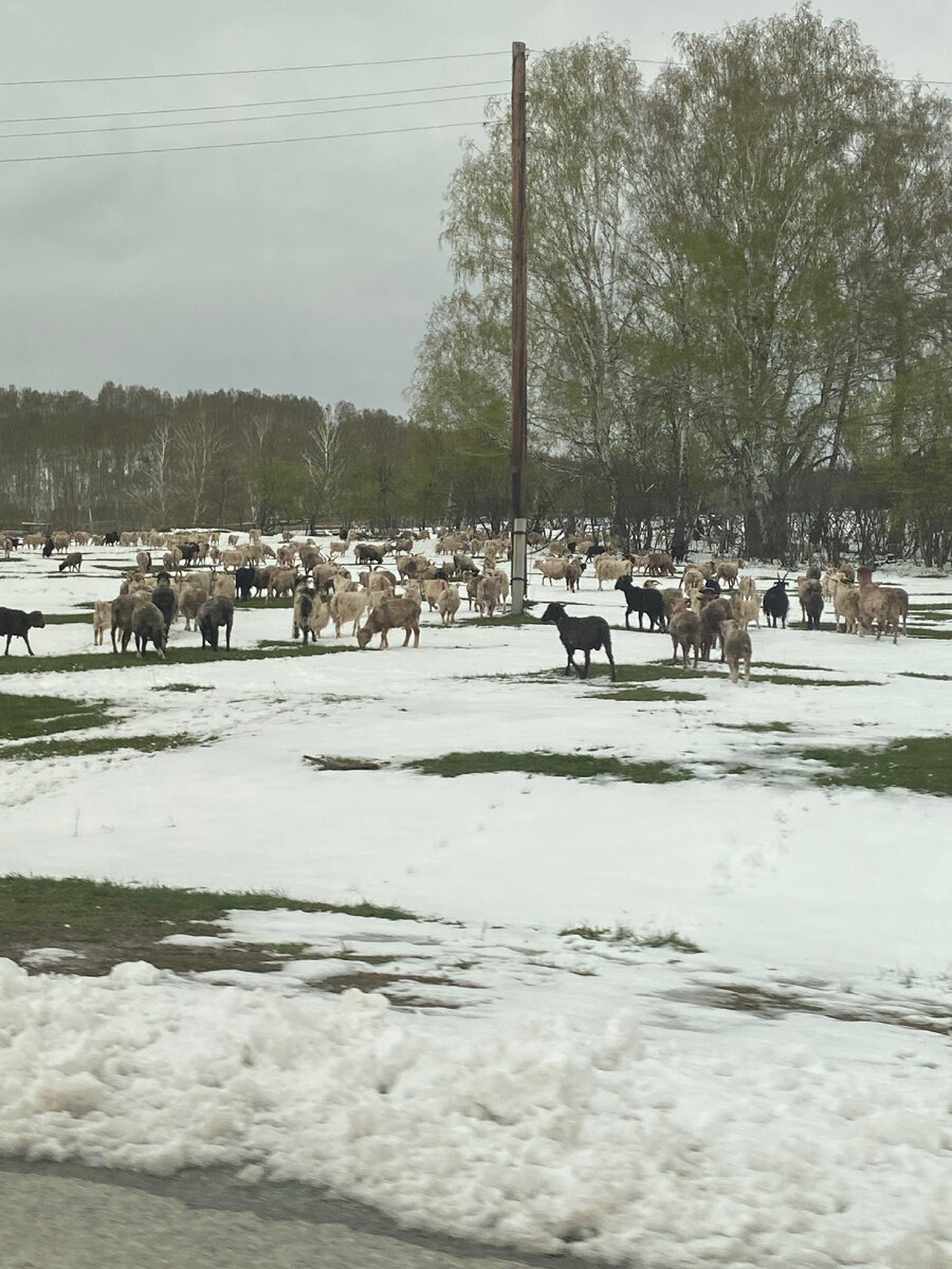 Всем привет! Вчера мы спонтанно решили ехать домой. На понедельник прогноз обещал опять снег с дождем и сильным ветром. А это значит что гололед был обеспечен.