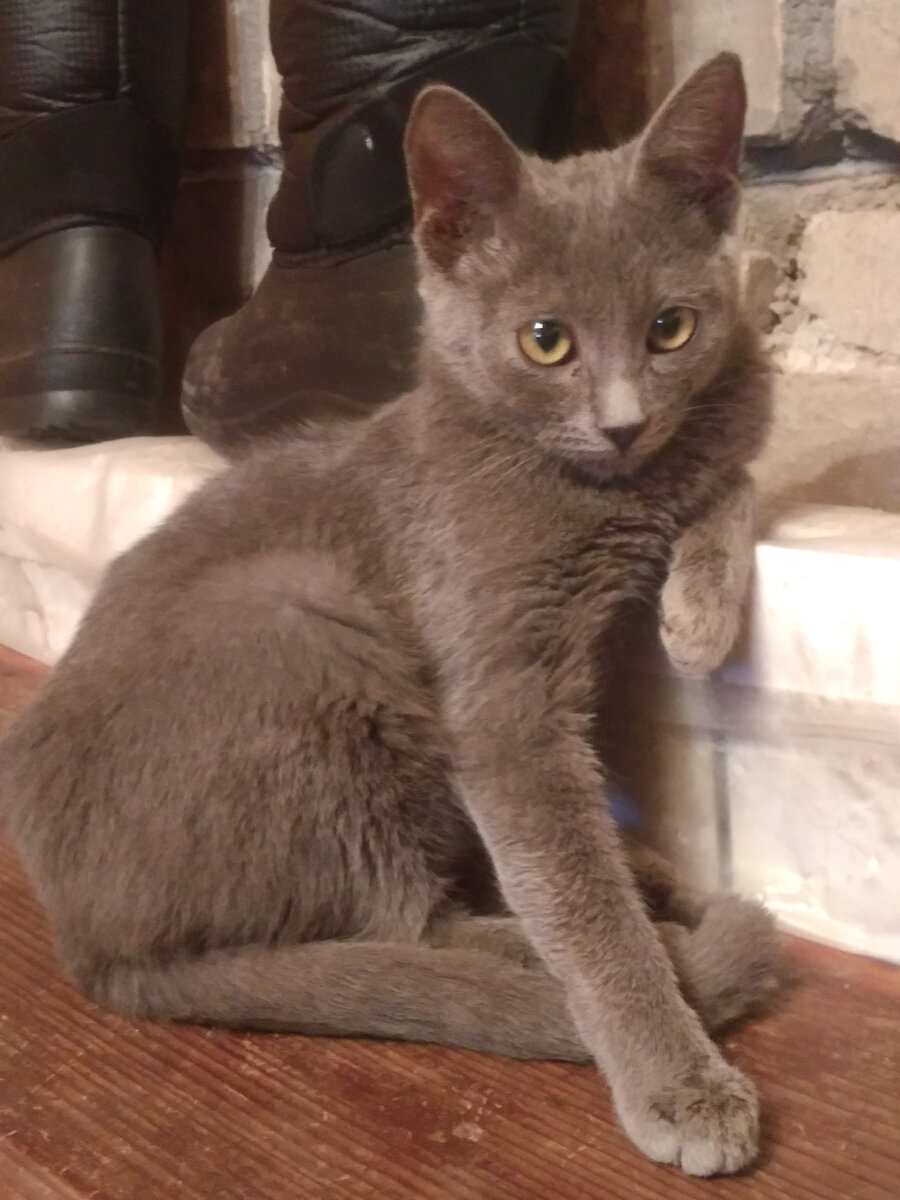 Мася сидела вот так.