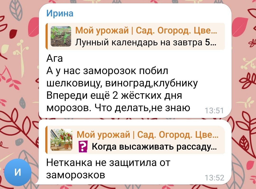 Скрин комментариев из нашего Телеграм-канала