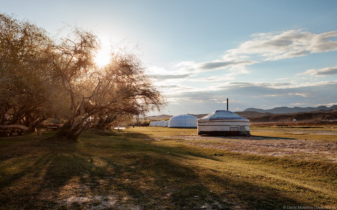 Мое первое утро в Монголии. Семь лет прошло, а свежесть того утра и вкус воды из ручья помню до сих пор