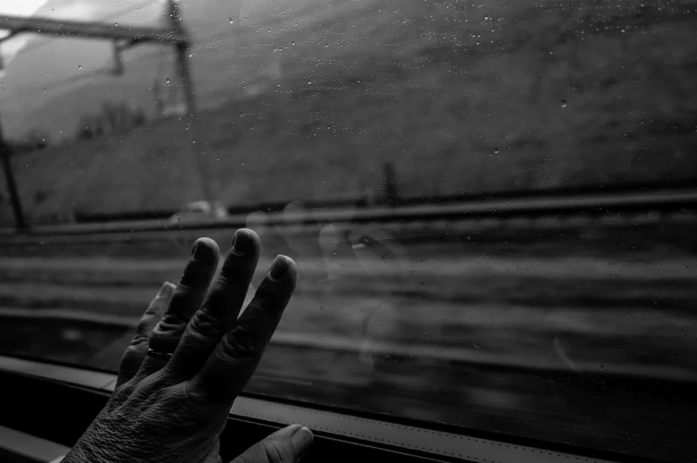 Яндекс Картинки 