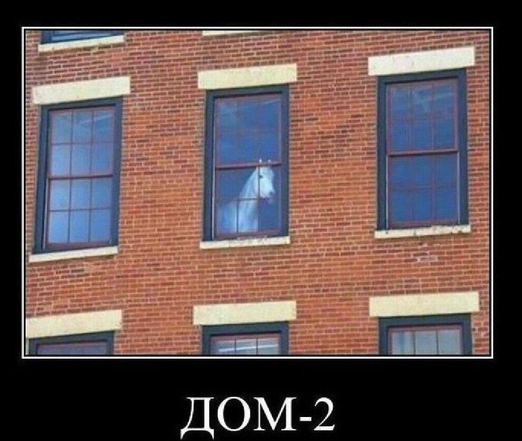 Из открытых источников