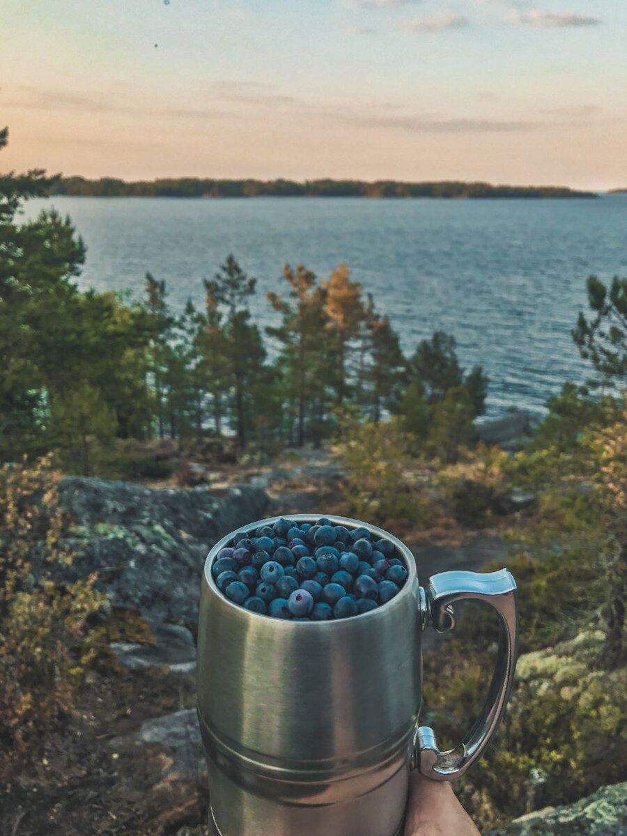 Собственноручно собранная черника