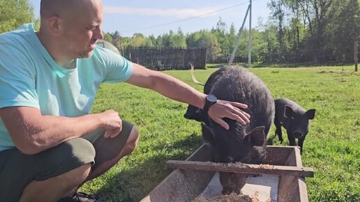 Перед Пасхой надо потрудиться.Недвижимость - это вложение в будущее.Анекдот 18+.Готовим куличи и плов.