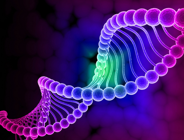 Источник: https://proprikol.ru