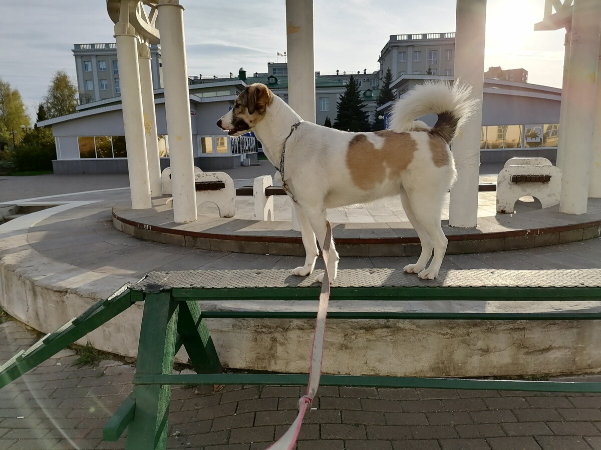 Фото автора