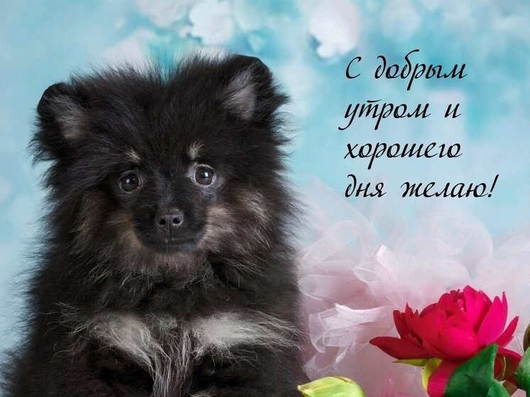     Фото: utradobrogo.ru