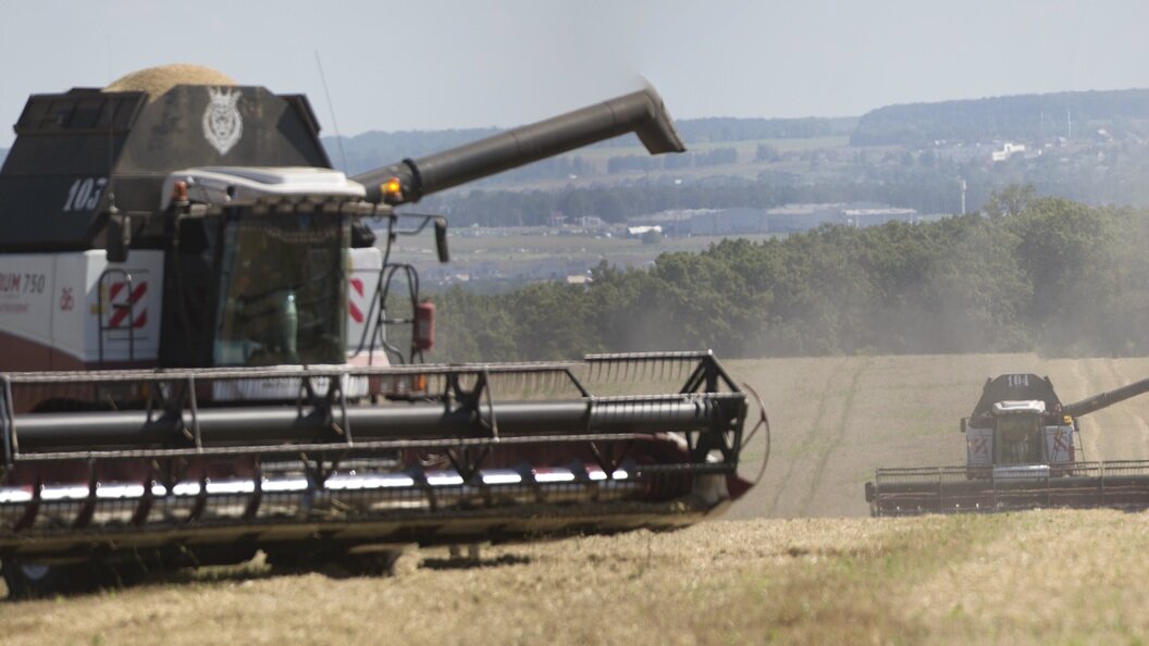    © Nikolay Gyngazov/Globallookpress