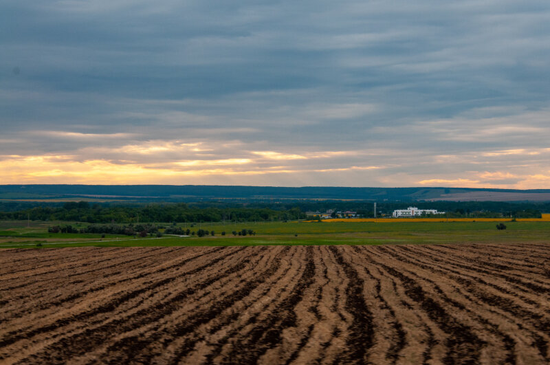    © Svetlana Vozmilova/Globallookpress