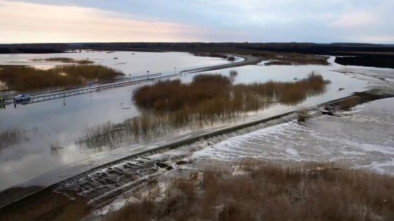    Уровень воды в реке Ишим в тюменском селе Викулово за день повысился Богдан Герцен