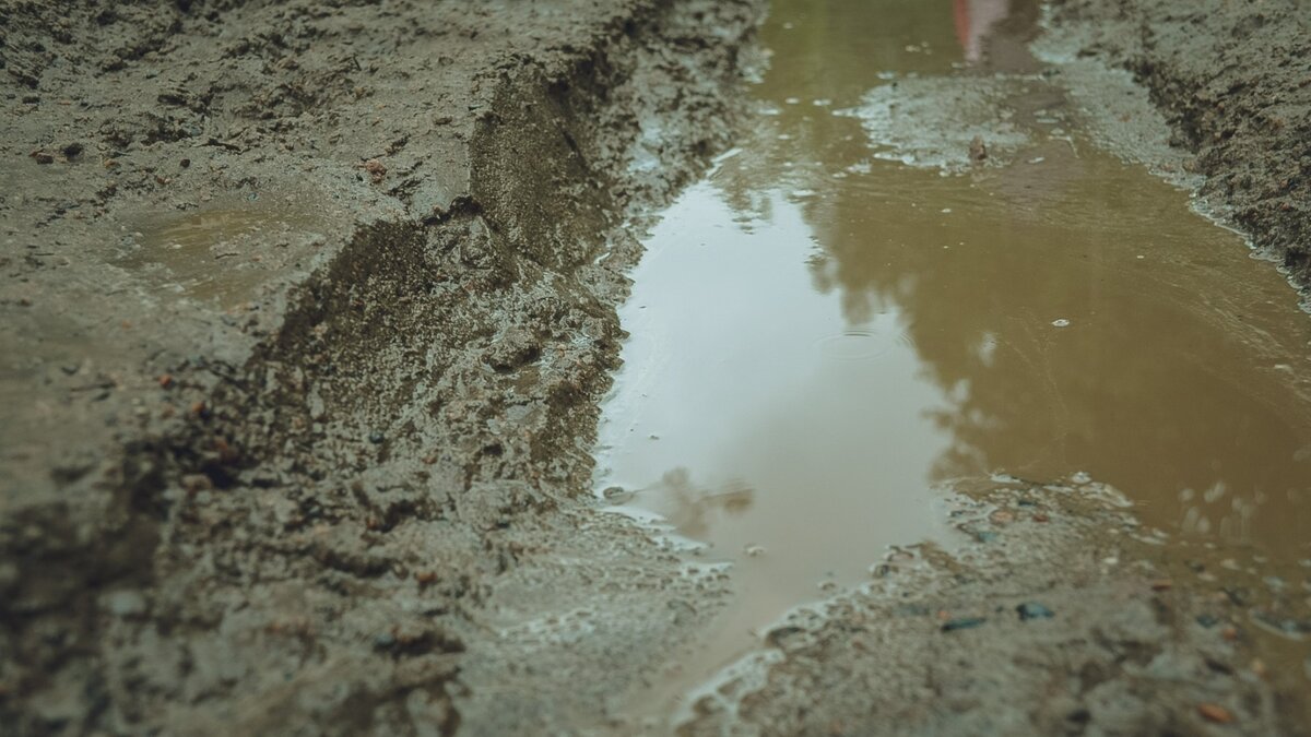     Источник: 1MI