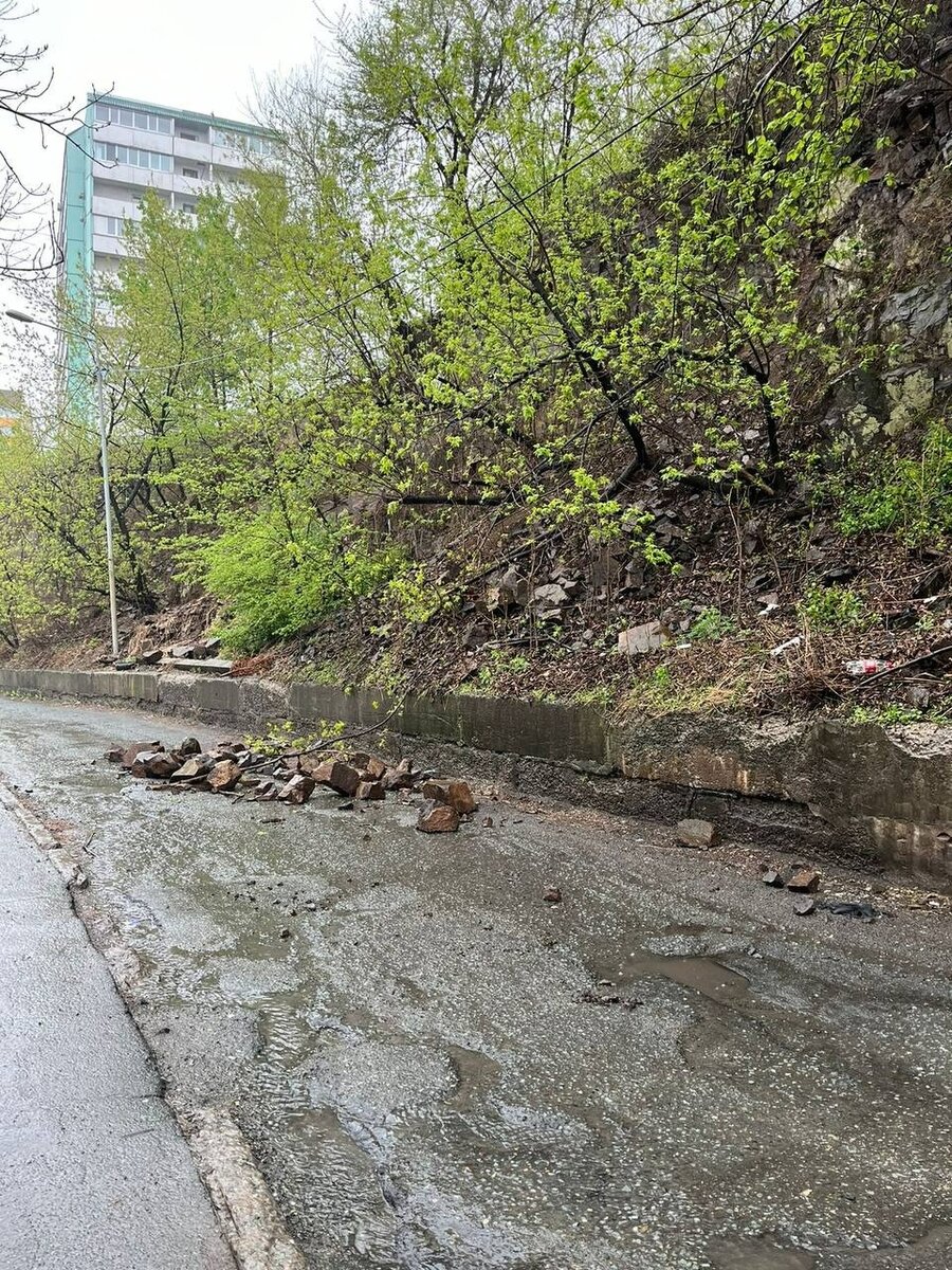     Источник: vdk_tiger_vladivostok