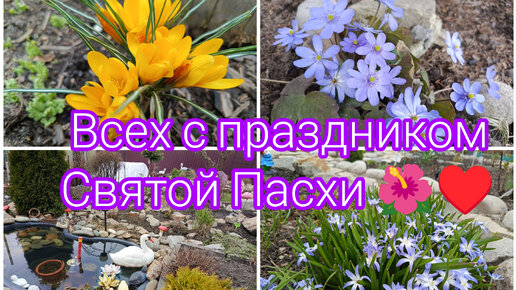 С ПАСХОЙ ВАС ДОРОГИЕ МОИ ДРУЗЬЯ ♥️🌺СОБИРАЮ ВАМ ПОСЫЛКИ !