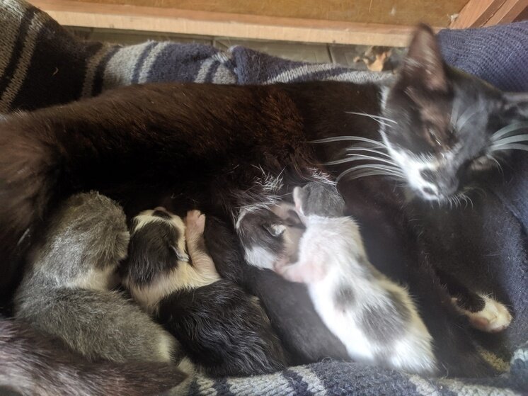     фото: мк в вологде