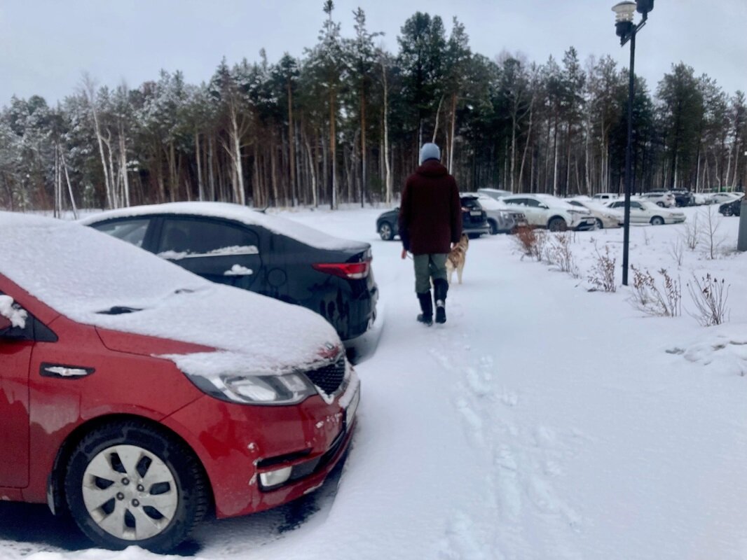    Синоптики объяснили, почему в Югру вернулась зима